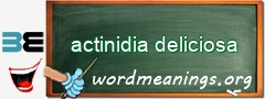 WordMeaning blackboard for actinidia deliciosa